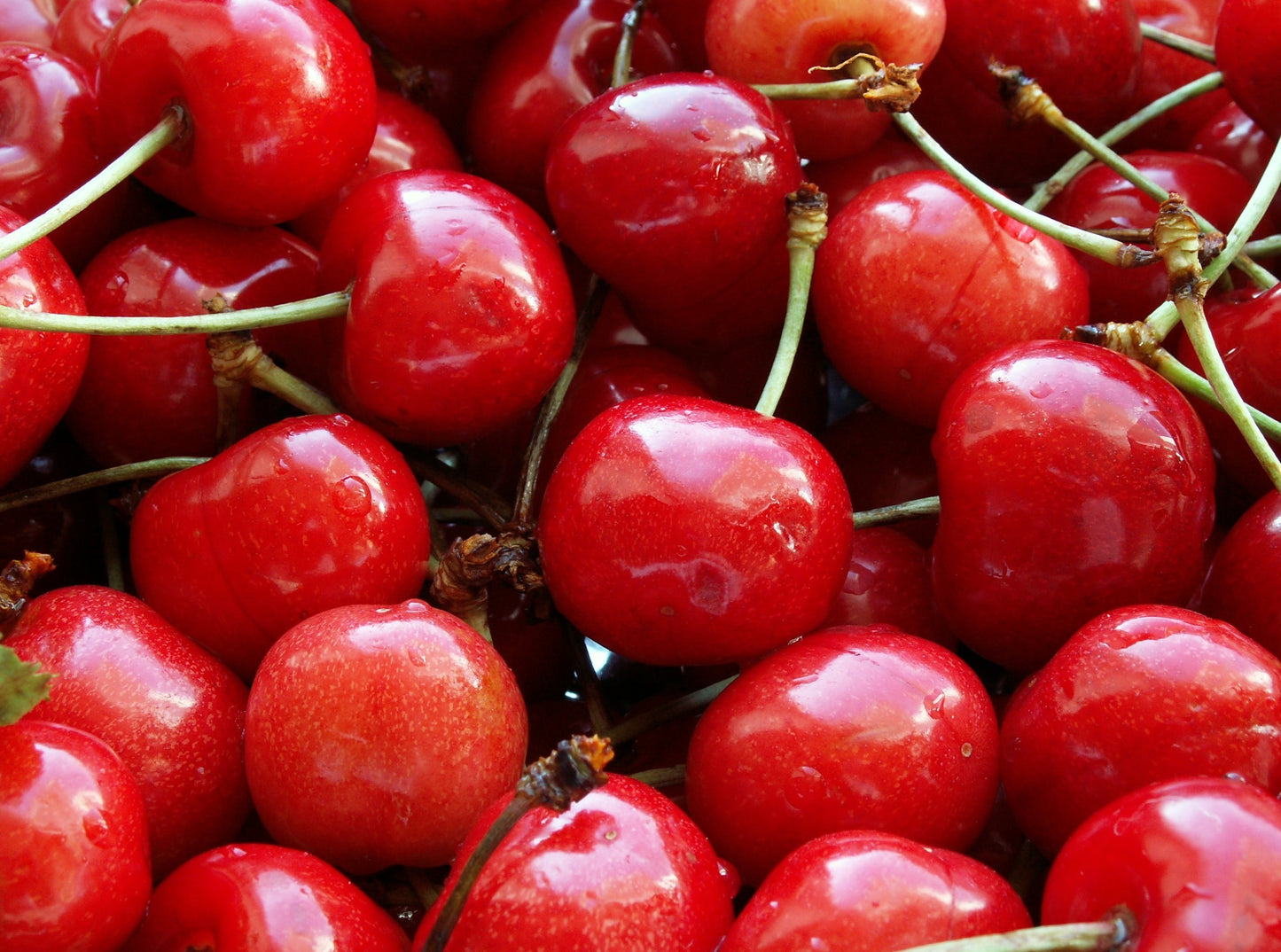 Red Cherries
