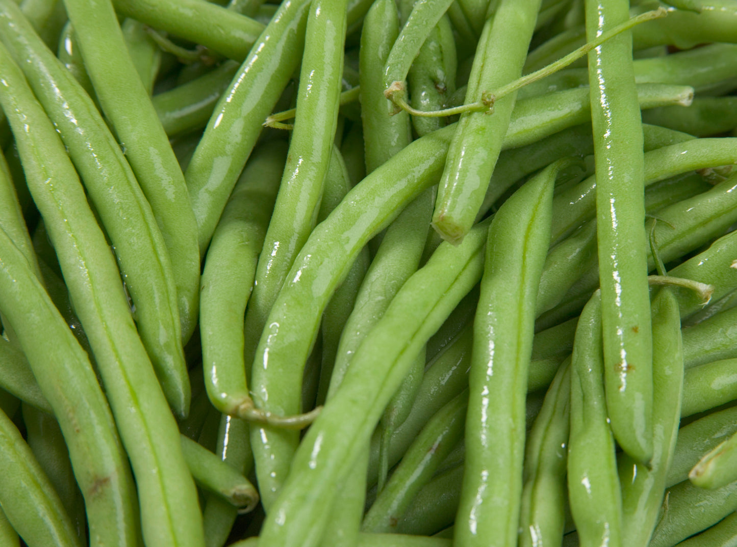 Green Beans