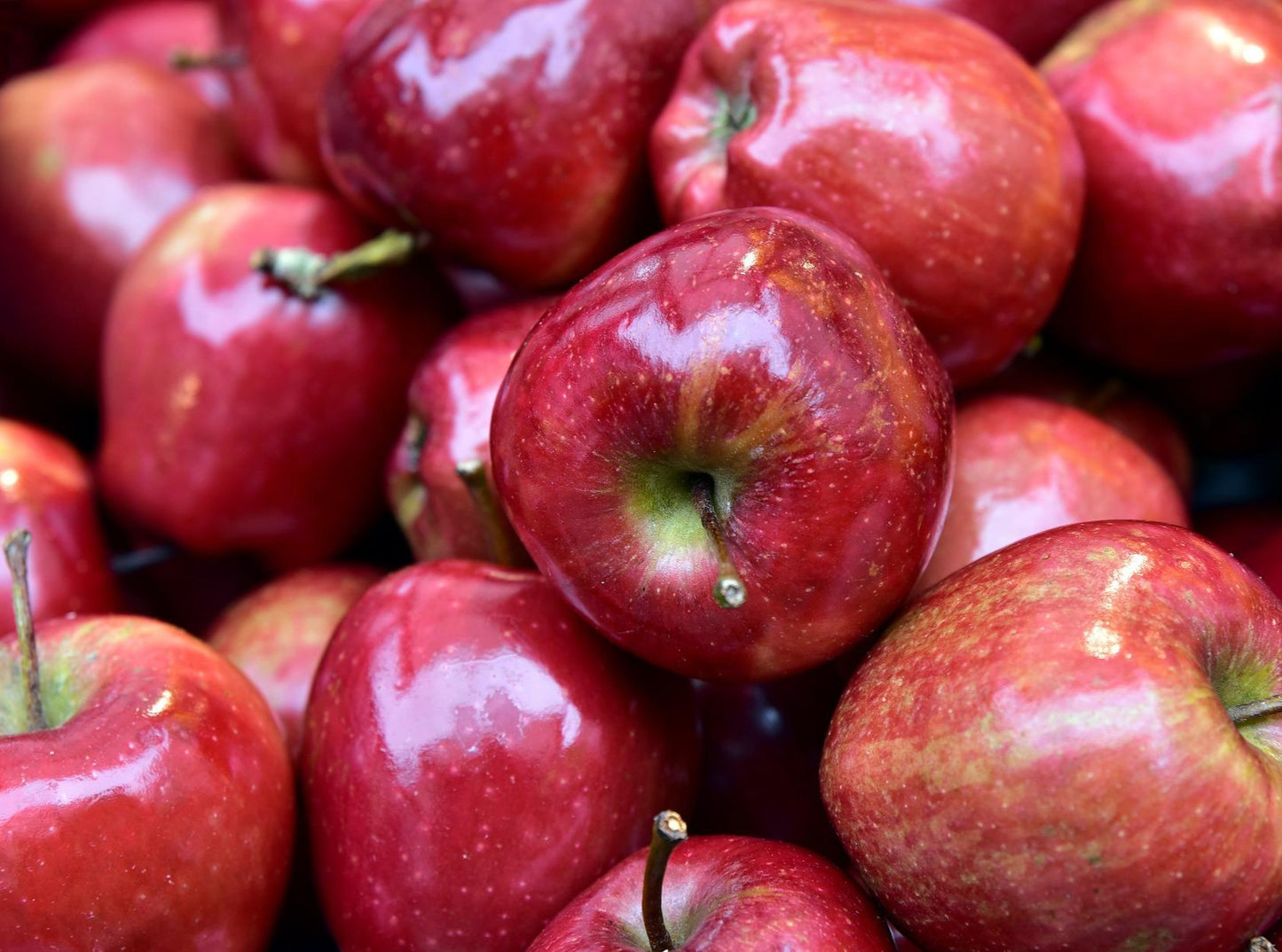 Red Delicious Apples
