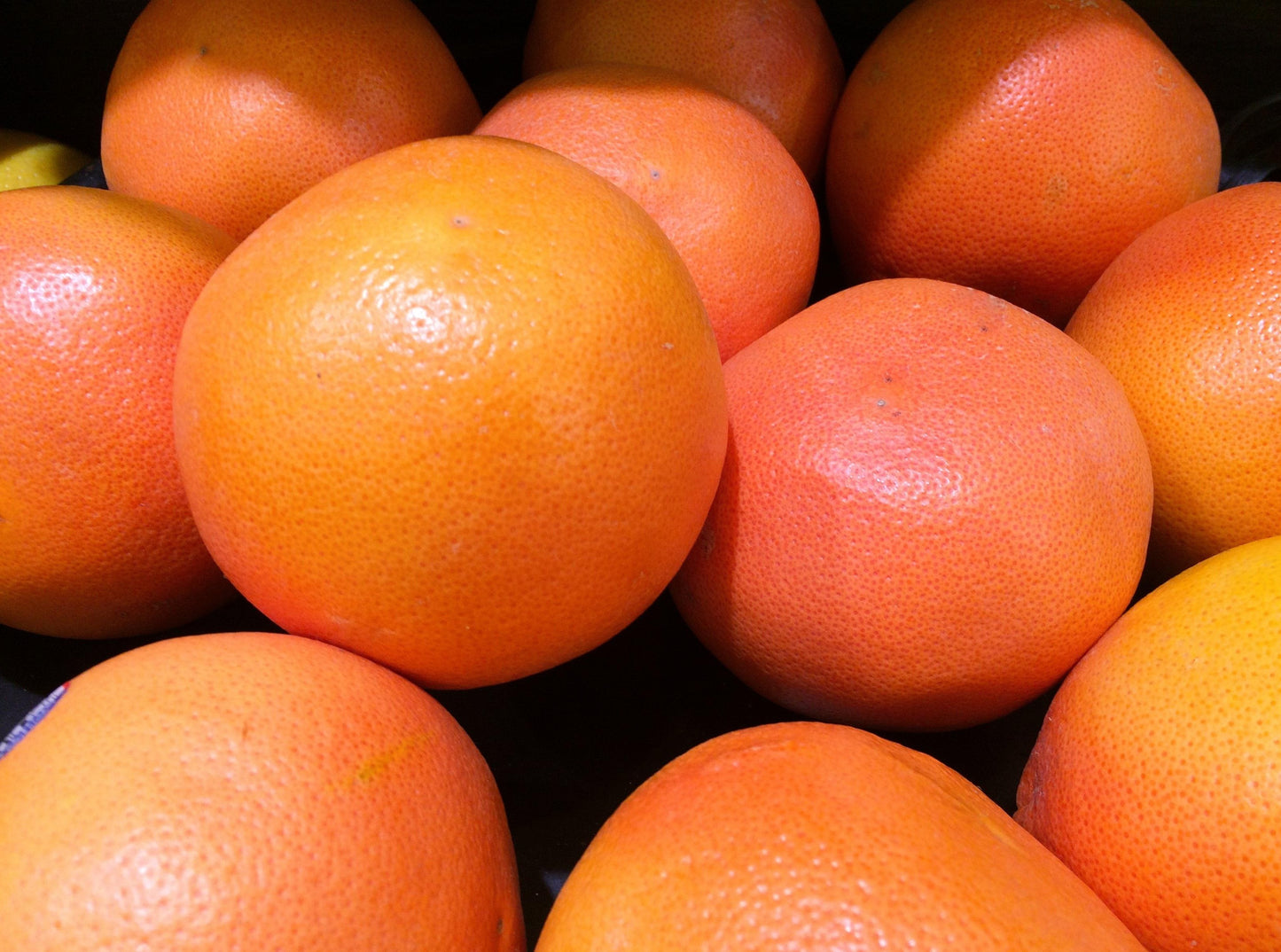 Grapefruit
