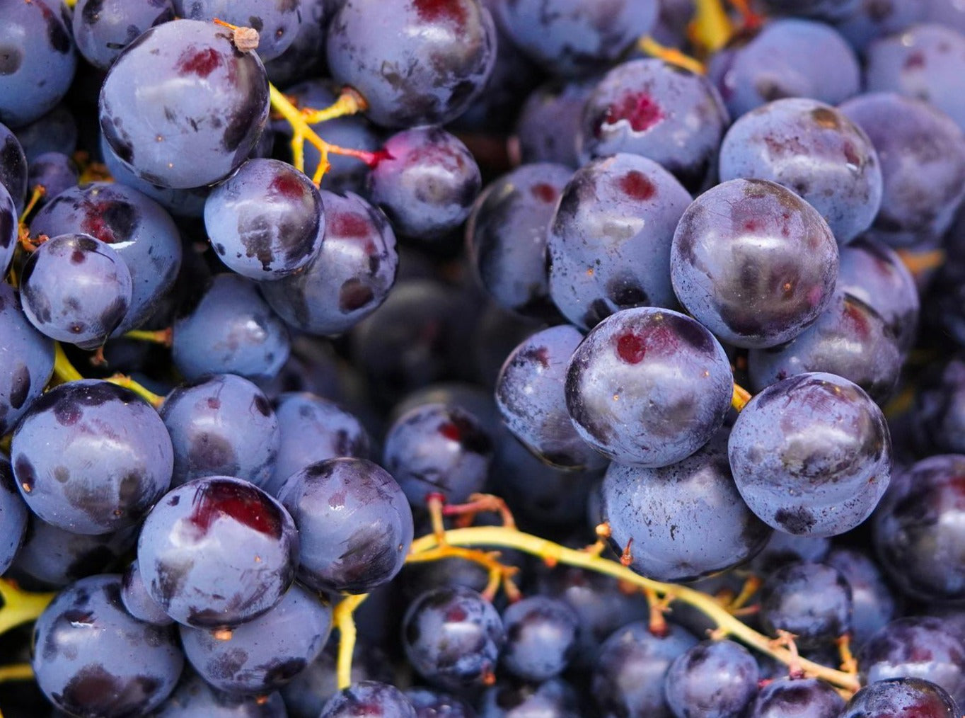 Black Grapes