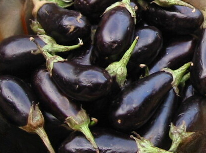 Baby Eggplant