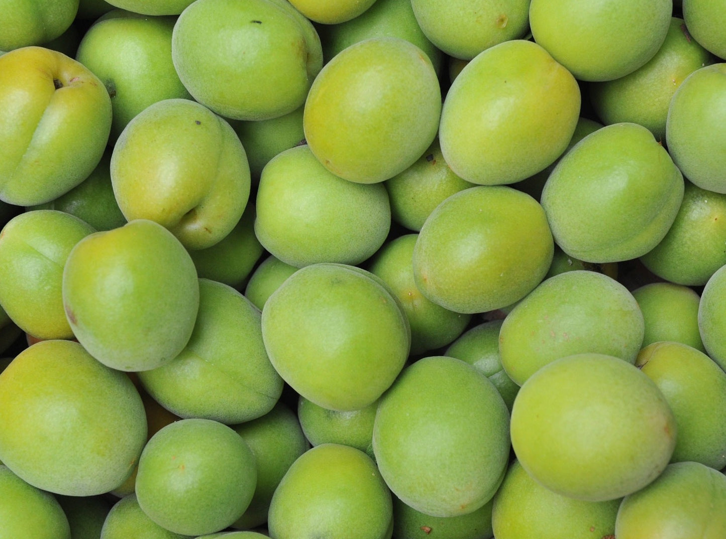 Green Plums