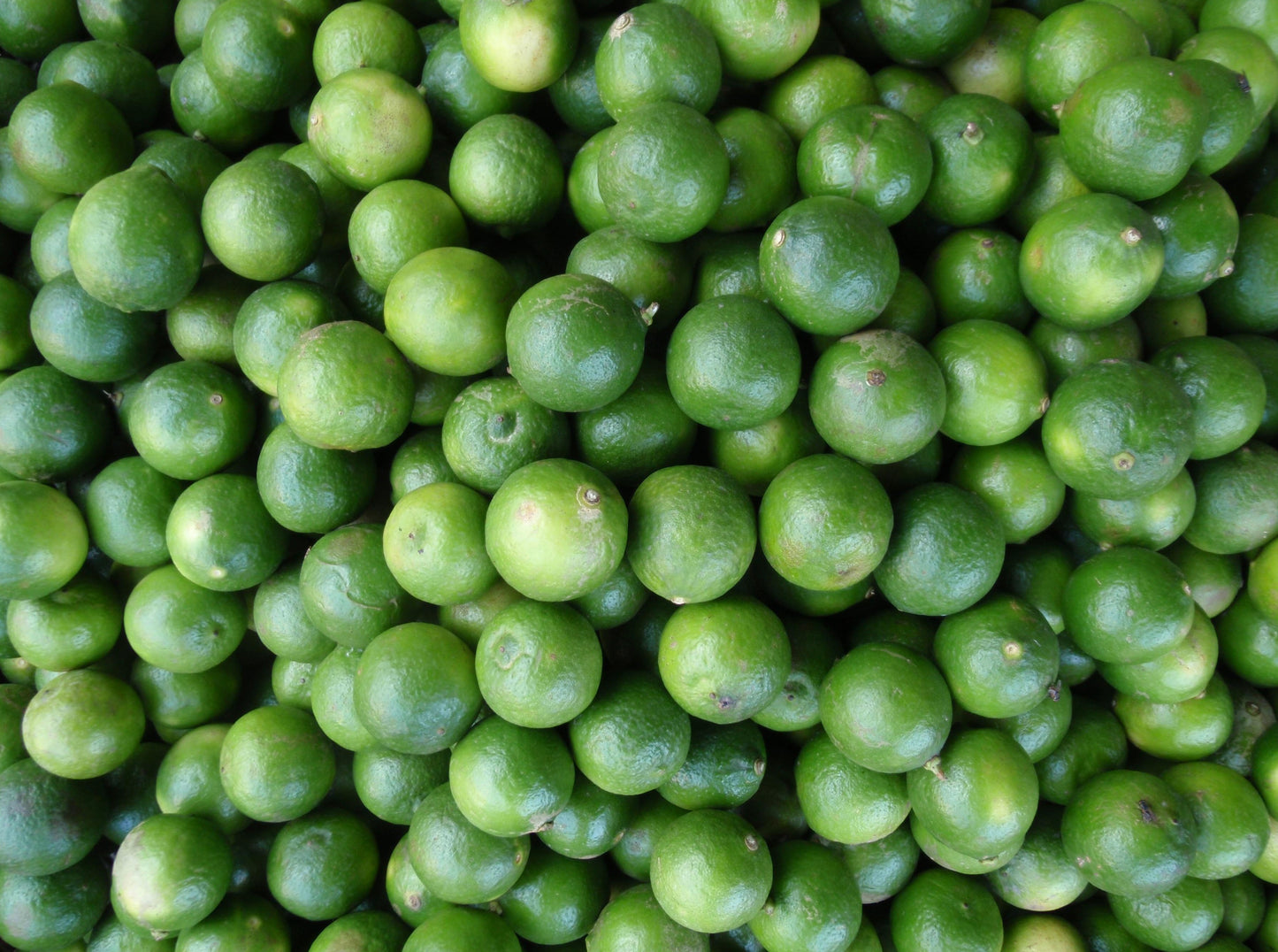 Lime