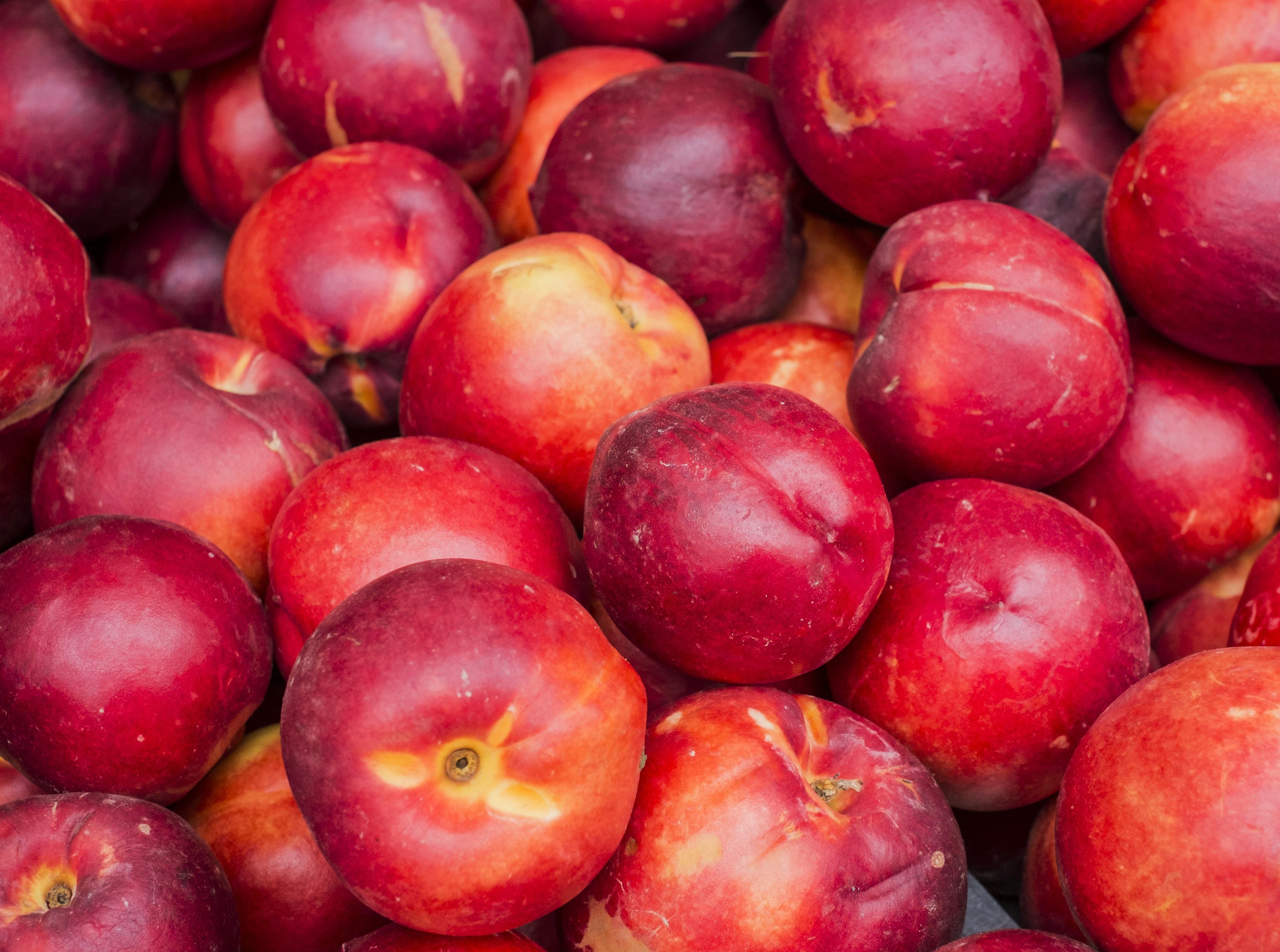 Nectarines Tiger Produce