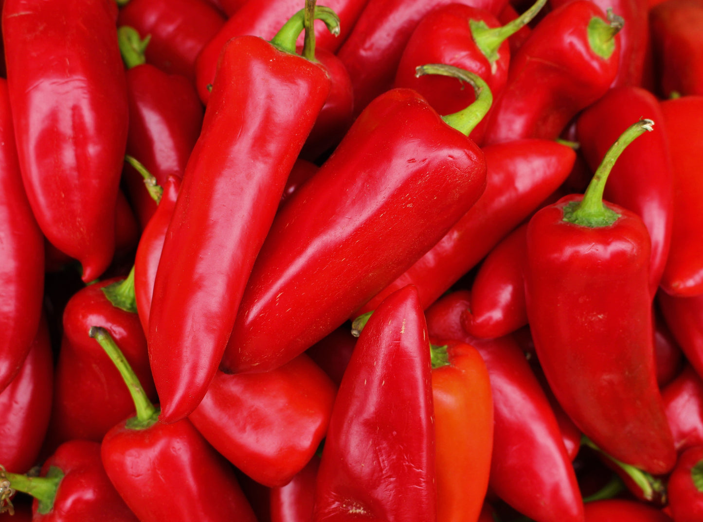 Red Hot Peppers