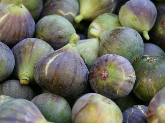 Figs