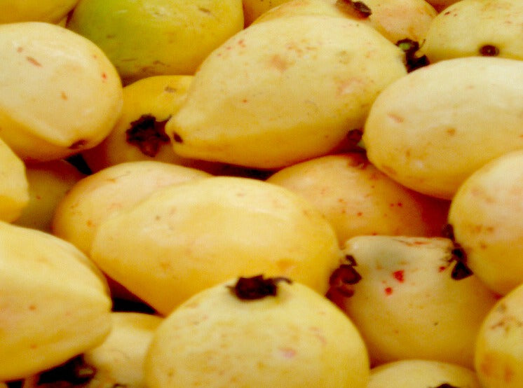 Guava