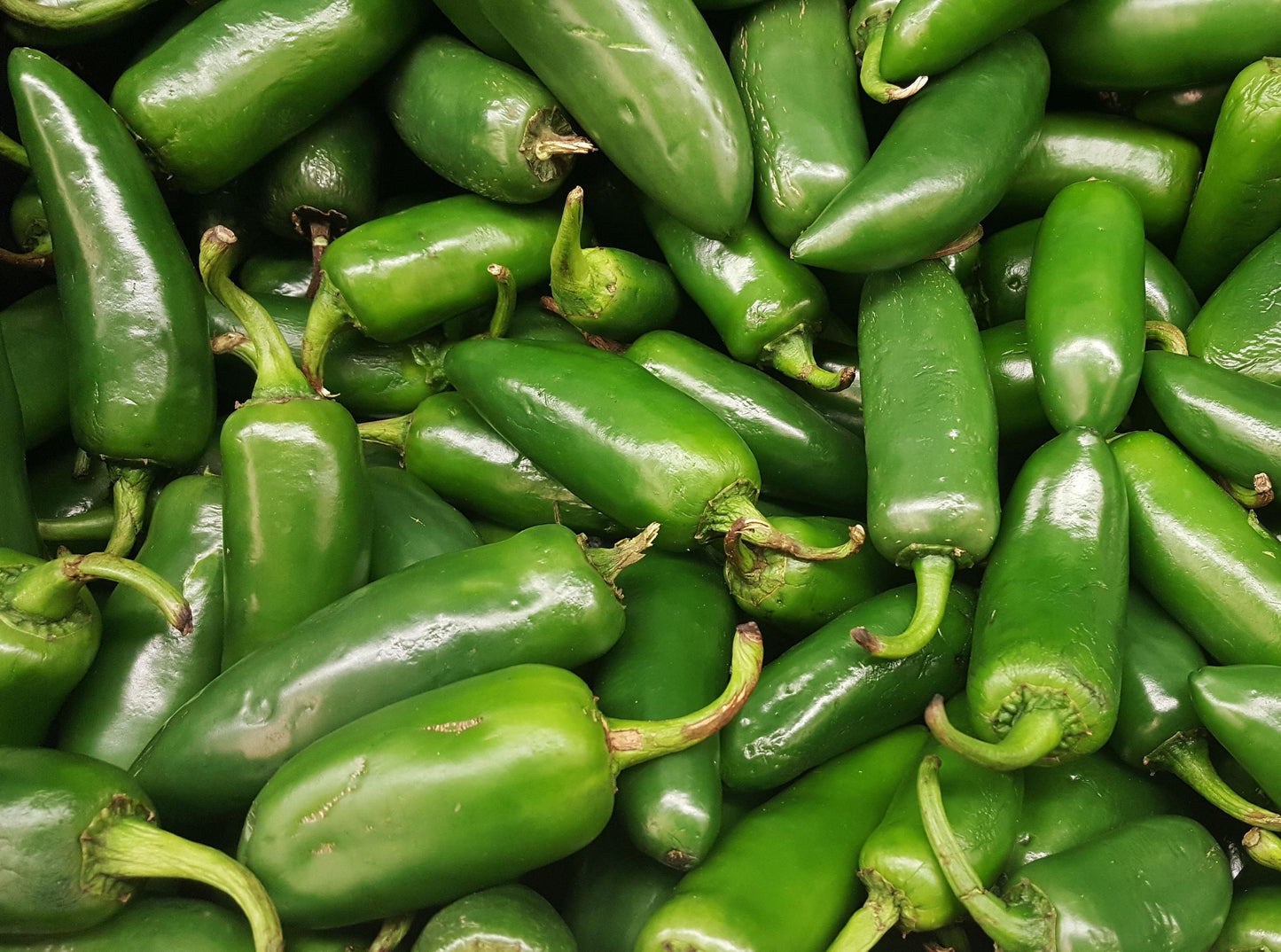 Jalapeno Peppers