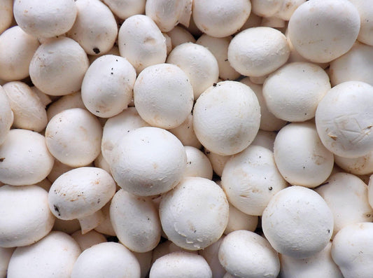 White Mushrooms