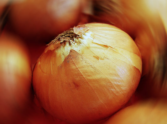 Spanish Onions