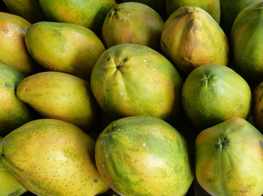 Papaya