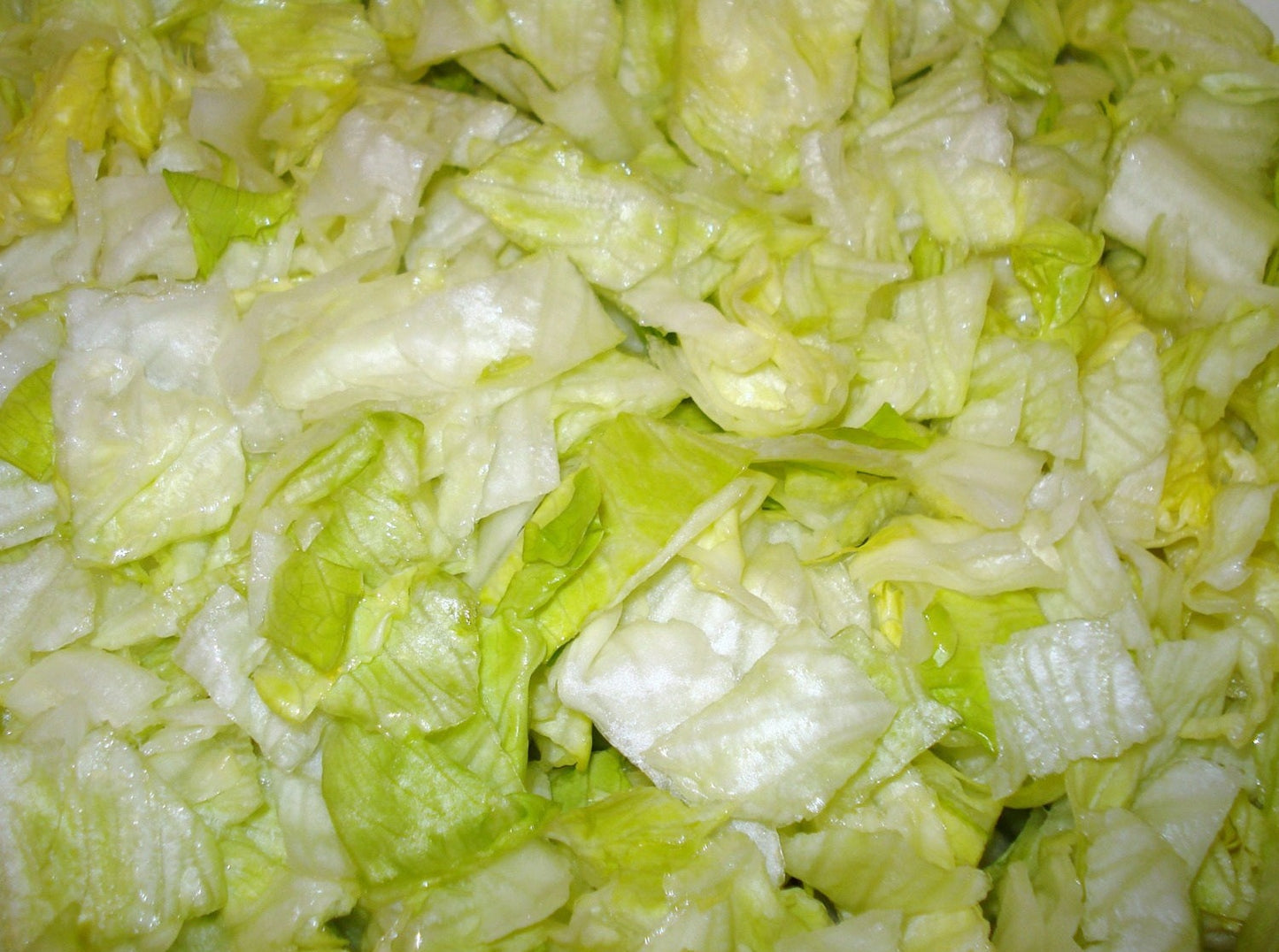 Shredded Lettuce