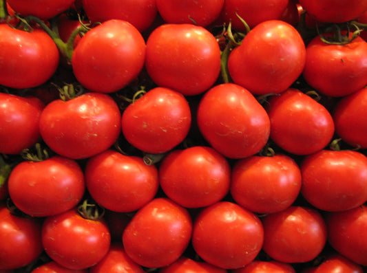 Local Tomatoes