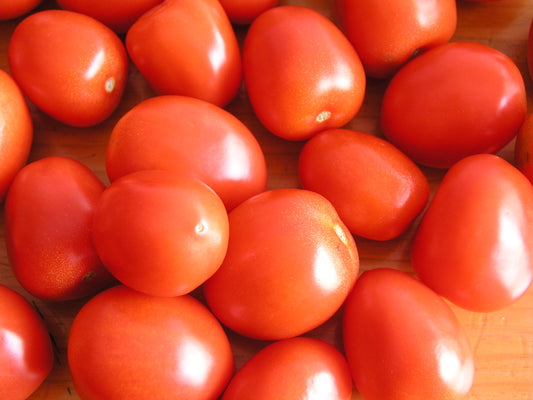 Roma Tomatoes