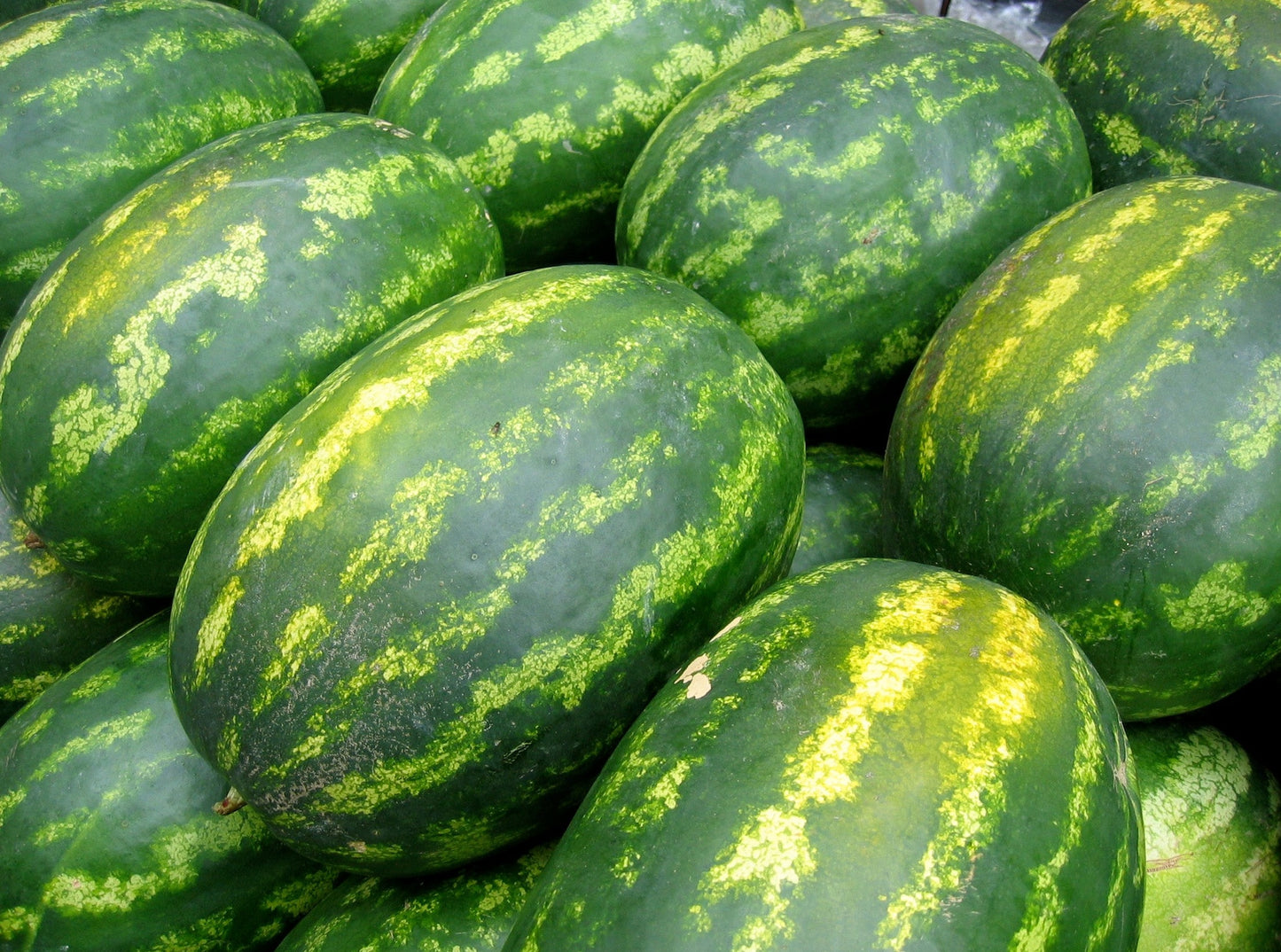 Watermelon (large)