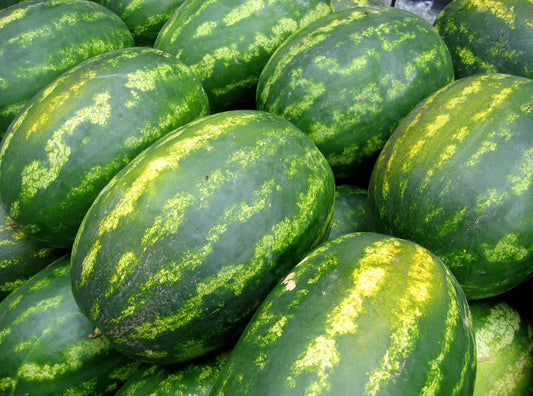 Watermelon (large)
