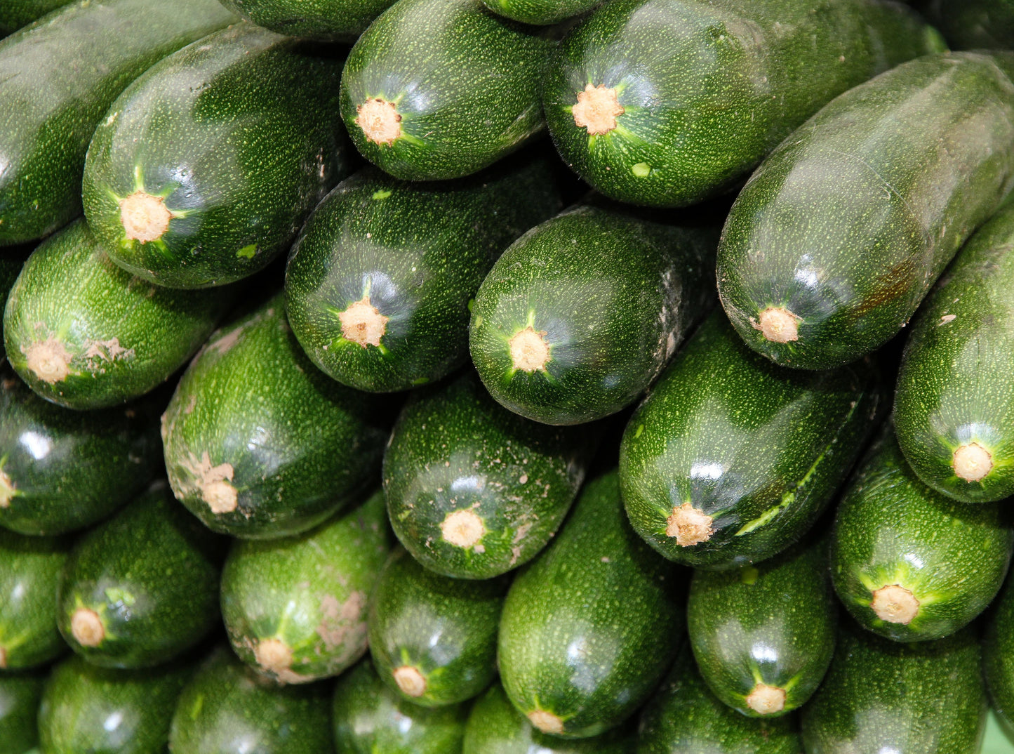Green Zucchini