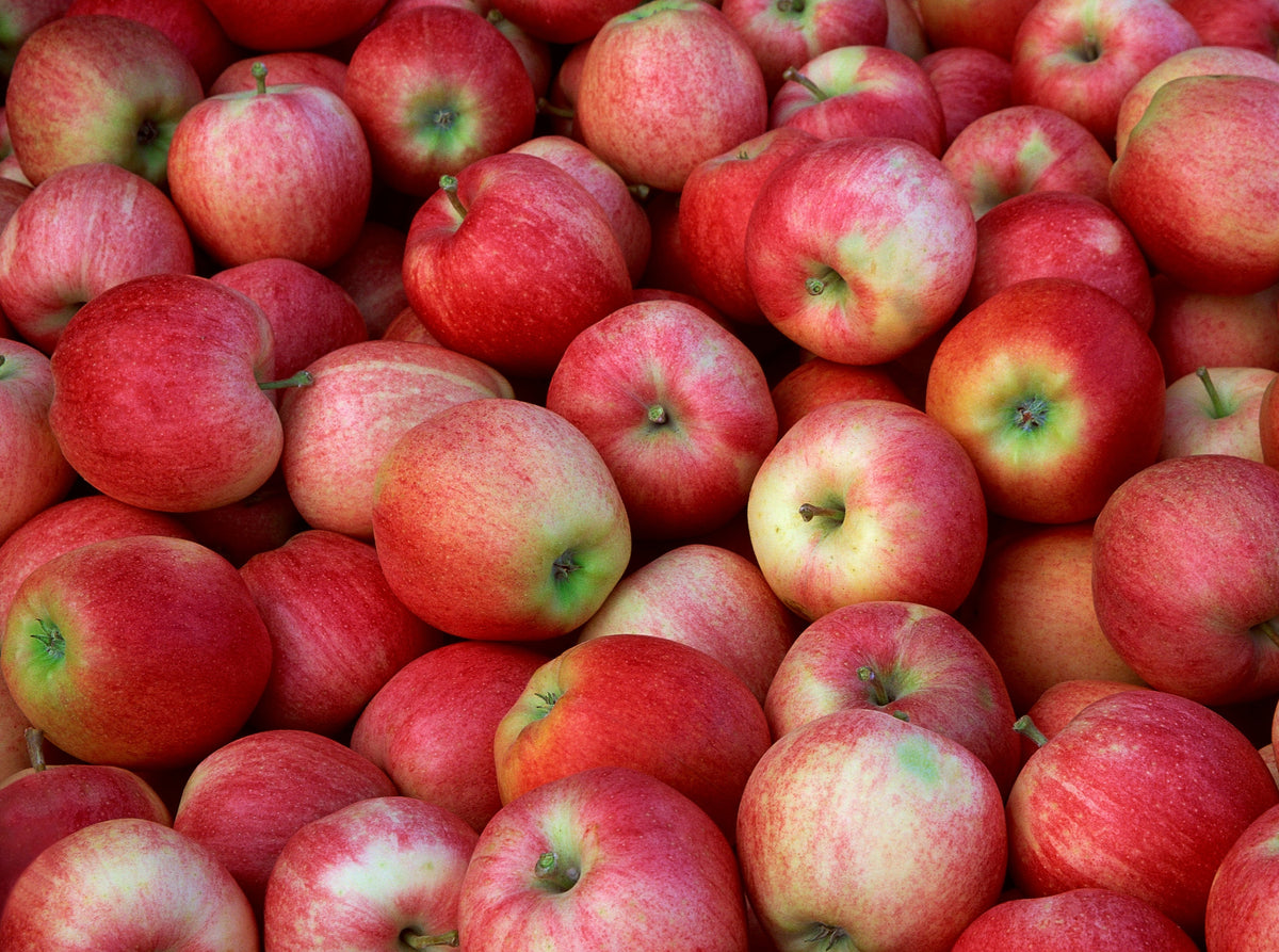 Royal Gala Apples Tiger Produce royal-gala-apples-tiger-produce
