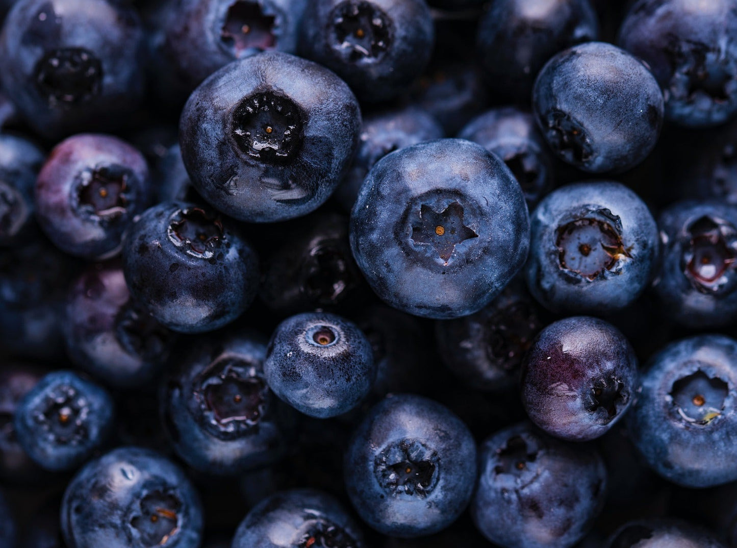 Blueberries