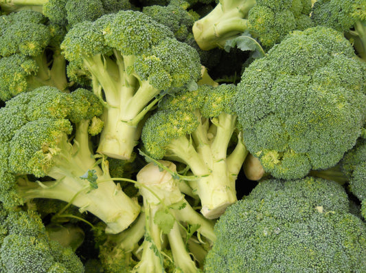 Broccoli