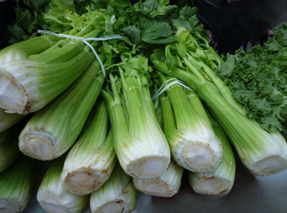 Celery