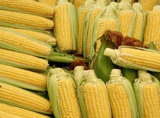 Corn