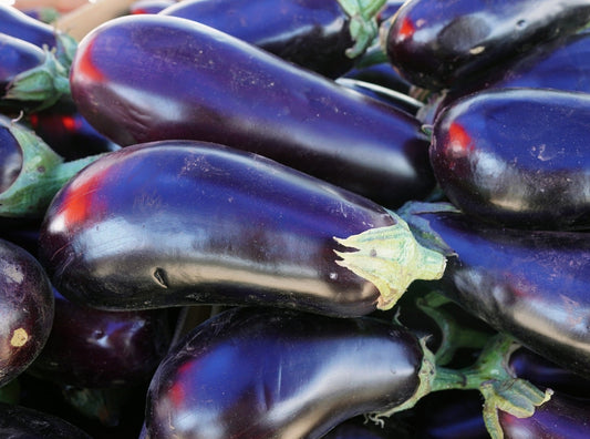 Eggplant (Large)