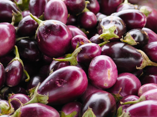 Small Purple Eggplant