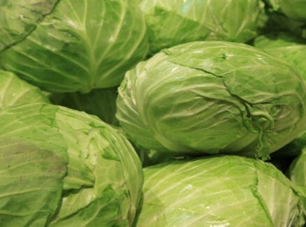 Flat Cabbage