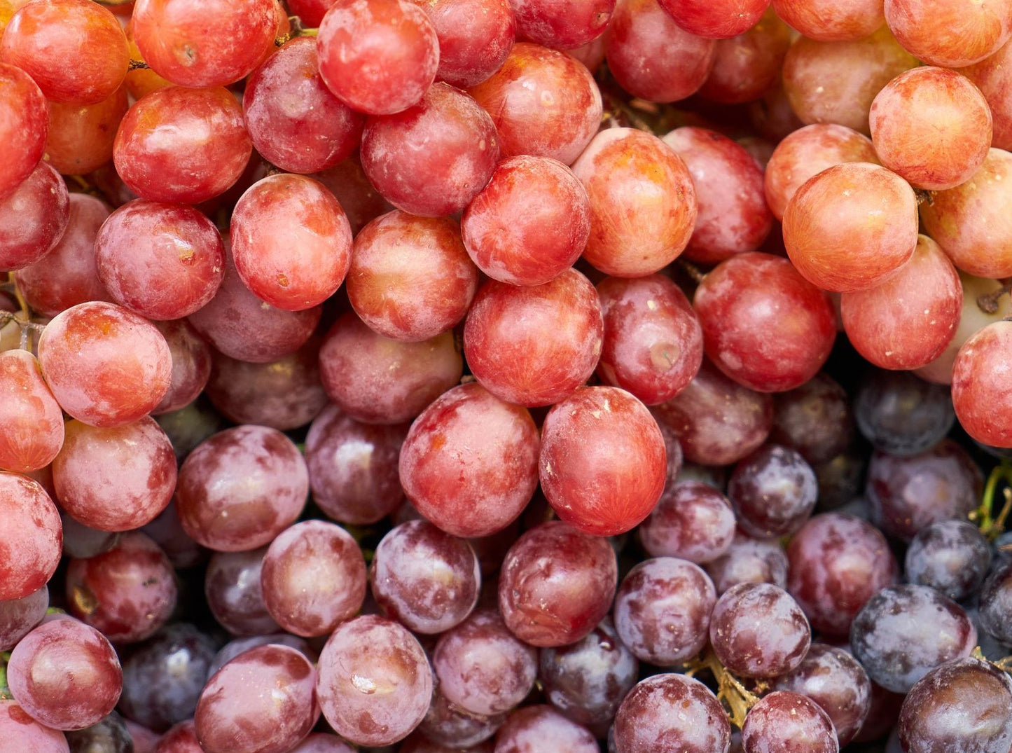 Red Grapes