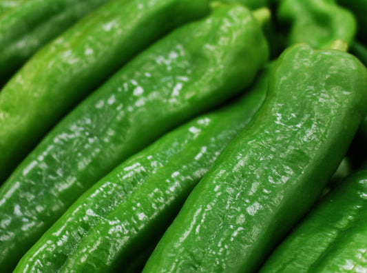 Long Green Hot Peppers