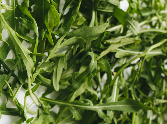 Arugula
