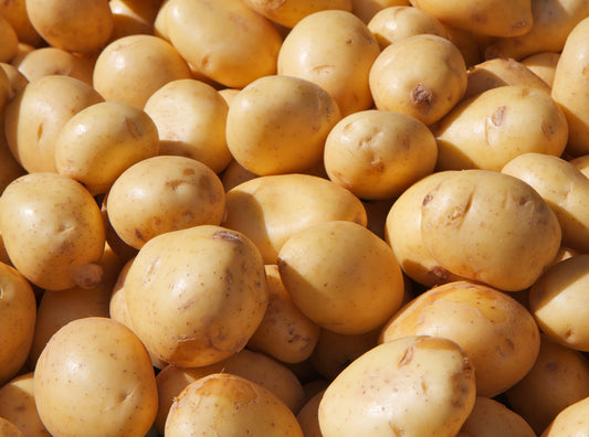 Yellow Potatoes