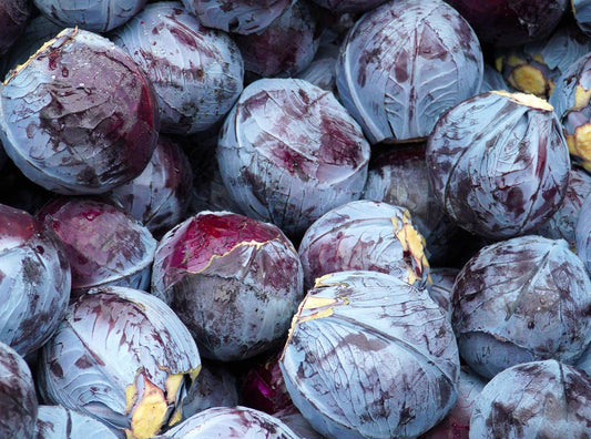 Red Cabbage