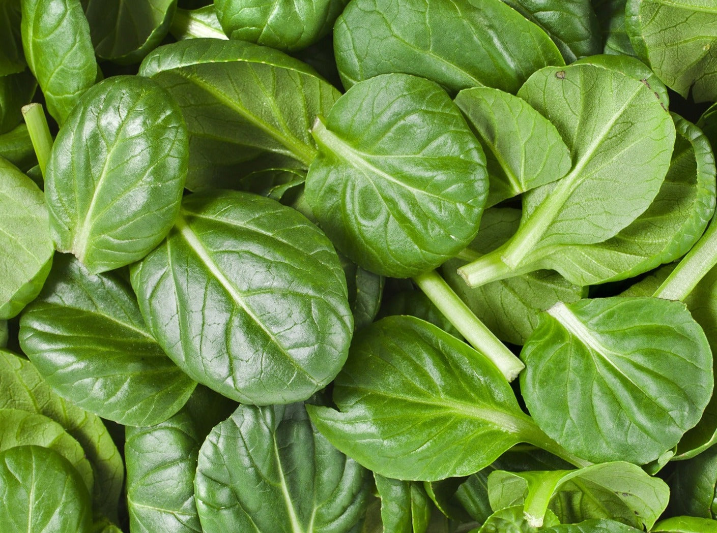 Baby Spinach