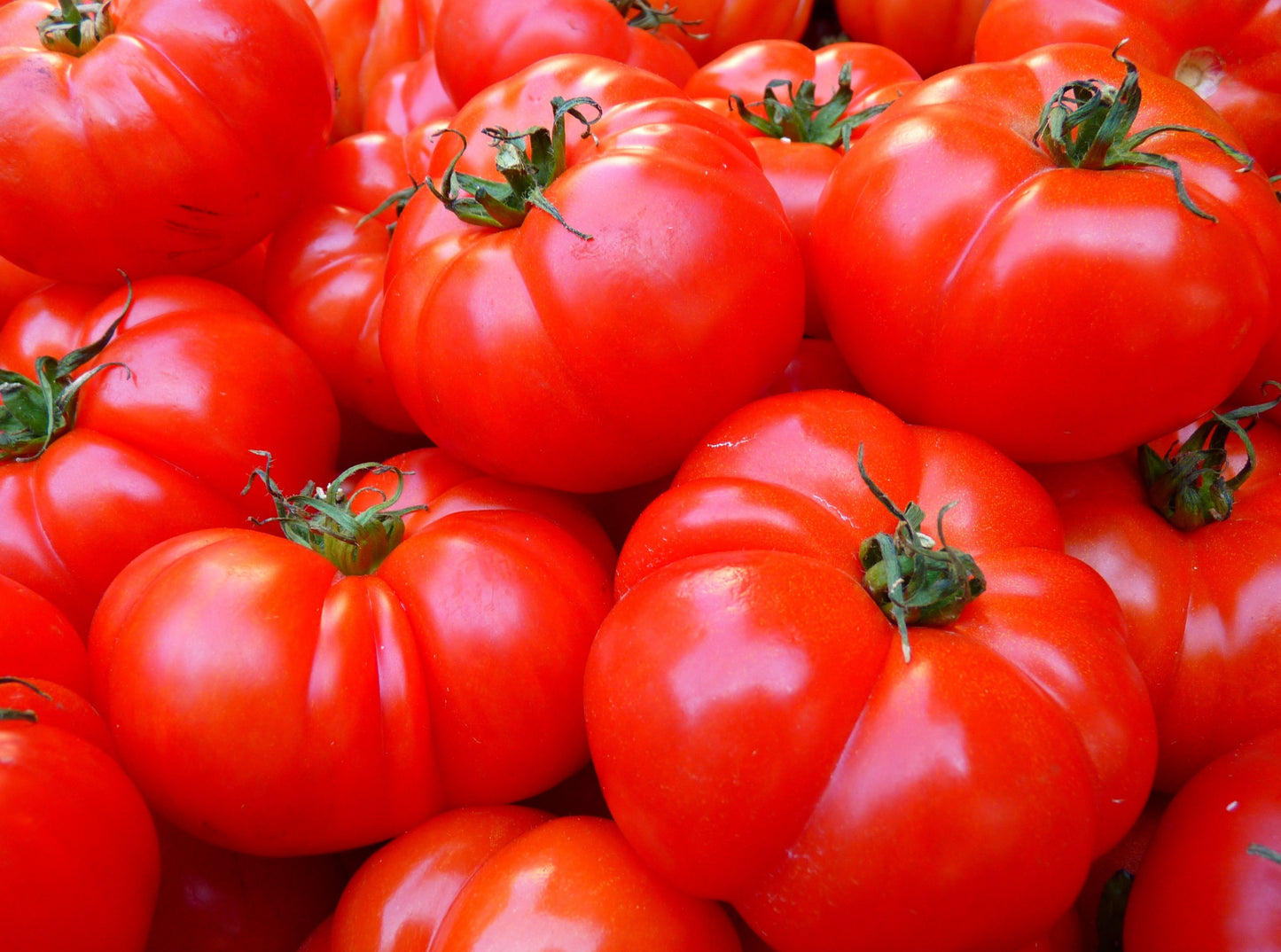 Beefsteak Tomatoes