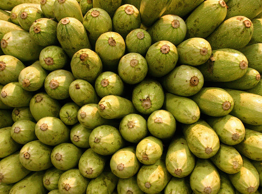 Grey Zucchini