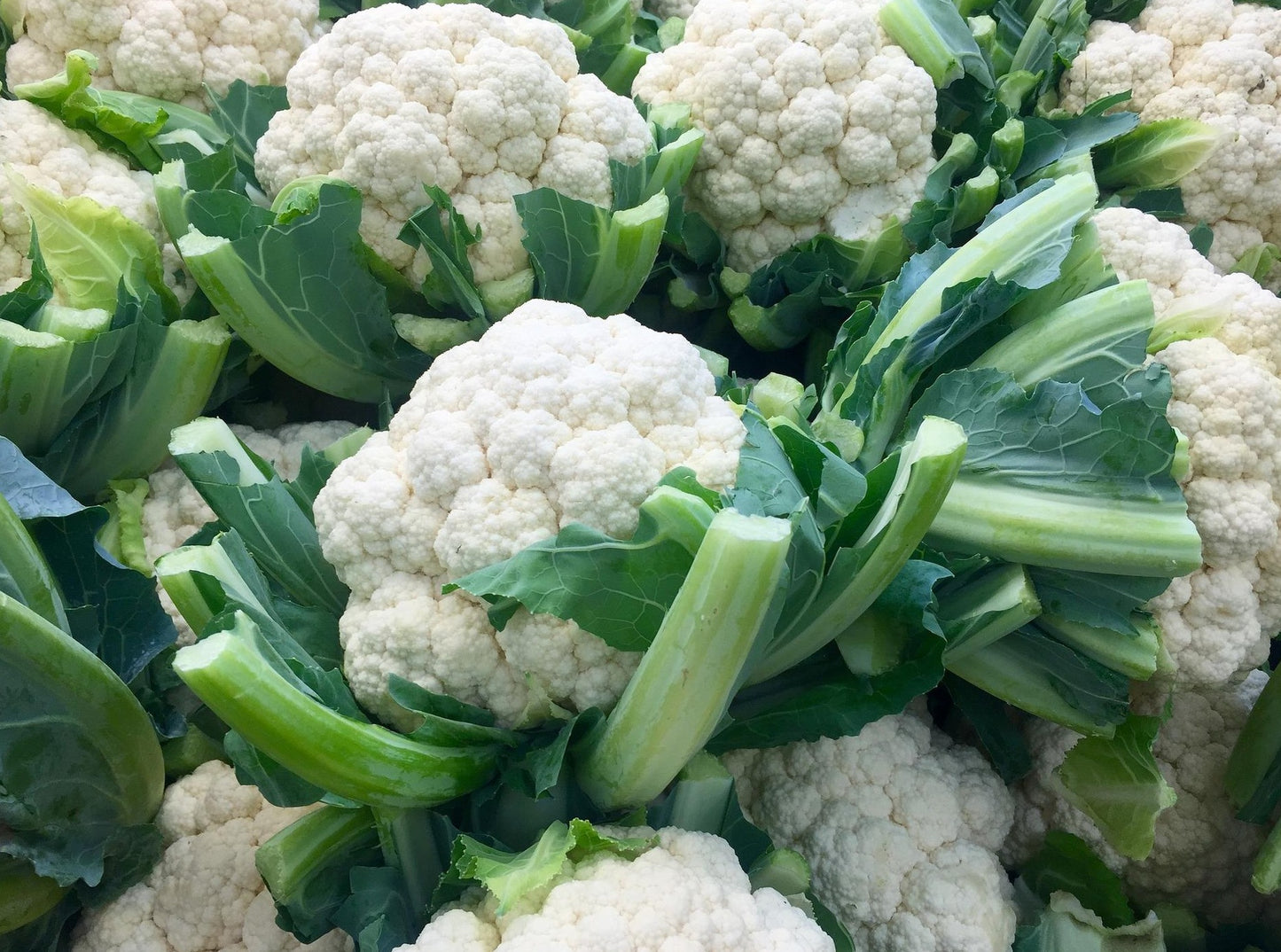 Cauliflower