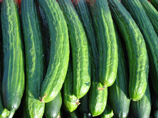 Long Curly Cucumbers